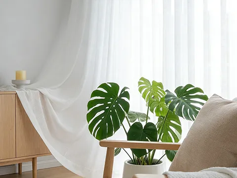 Soft Light Filtering
